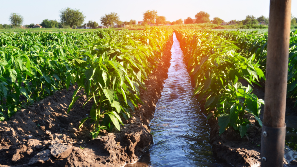 Agricultores